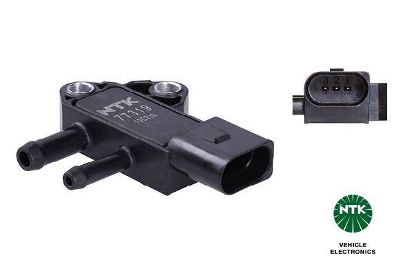 Abgasdrucksensor Differenzdruck
