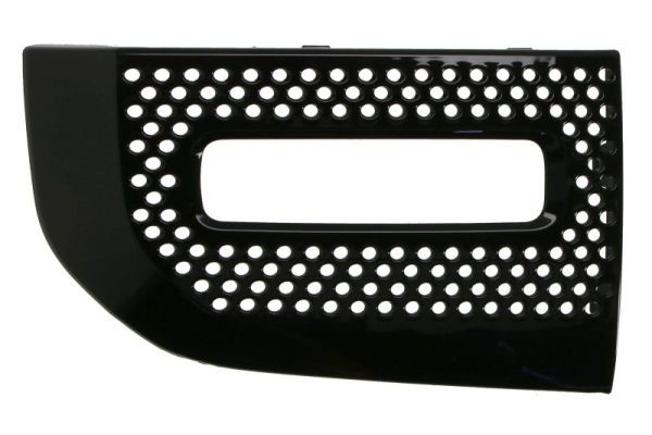 Stoßstange Gitter