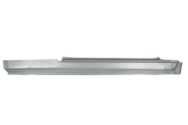 Einstiegsblech Schweller