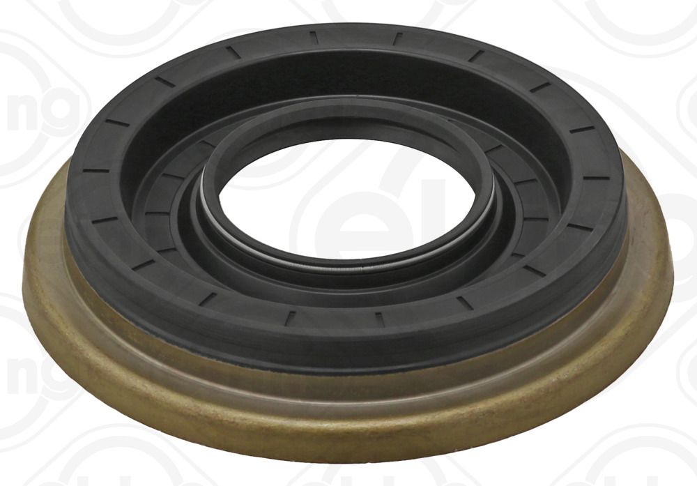 Wellen Dichtring Differential