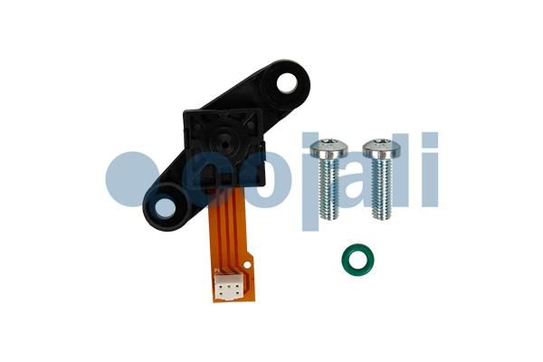 Sensor