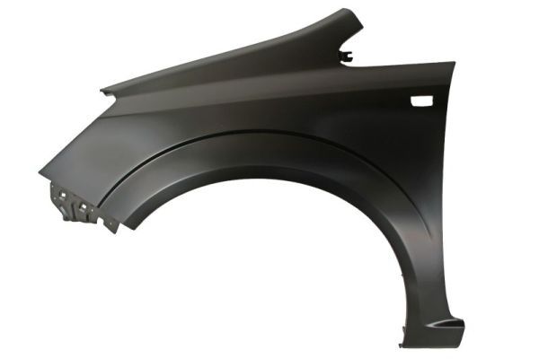 Set: 2 × Kotflügel vorne