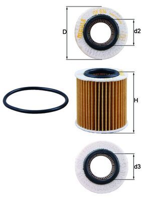 Ölfilter Öl Filter