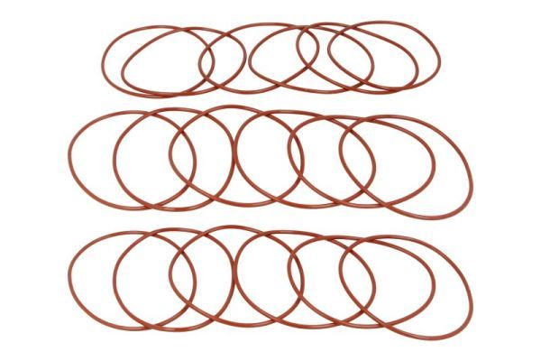 Satz O-Ringe für das Zylinderrohr