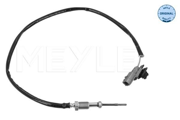 Sensor Abgastemperatur