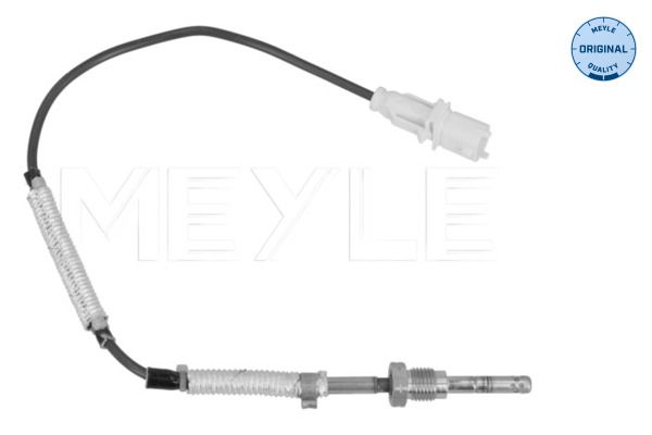 Sensor Abgastemperatur