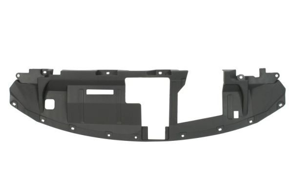 Frontmaske Frontgerüst Schloßträger