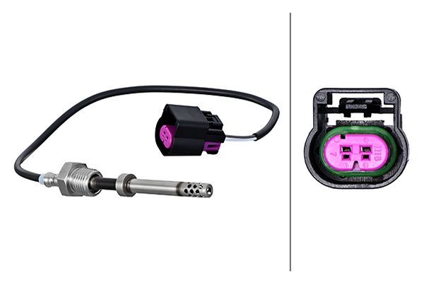 Sensor Abgastemperatur
