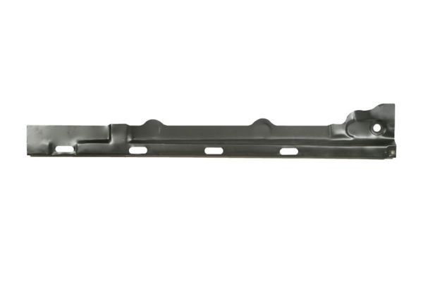 Einstiegsblech Schweller