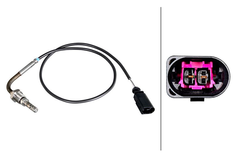 Sensor Abgastemperatur