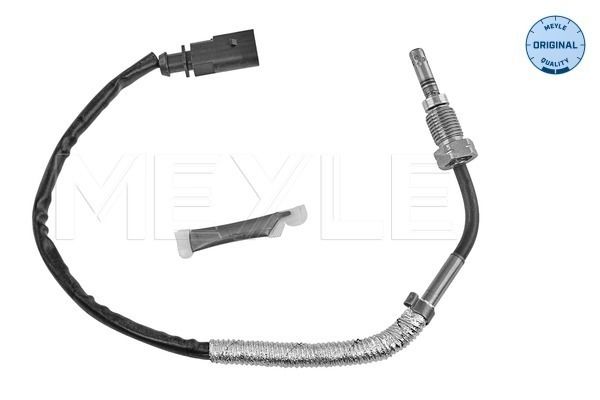 Sensor Abgastemperatur