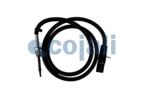 Sensor Abgastemperatur