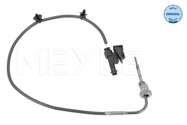 Sensor Abgastemperatur