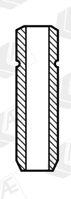 Ventilführung