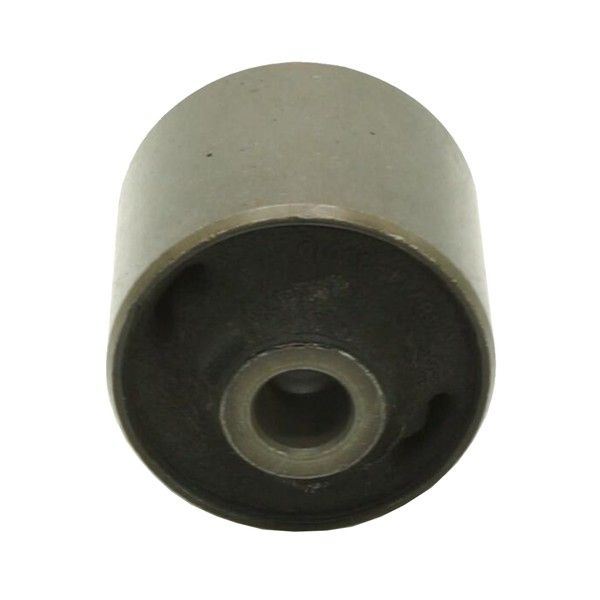 Querlenker Silentblock hinten