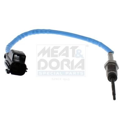 Sensor Abgastemperatur