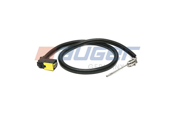Sensor Abgastemperatur