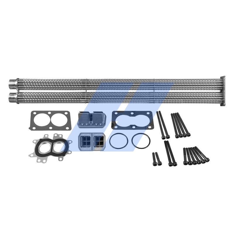 Reparatursatz, AGR-Modul