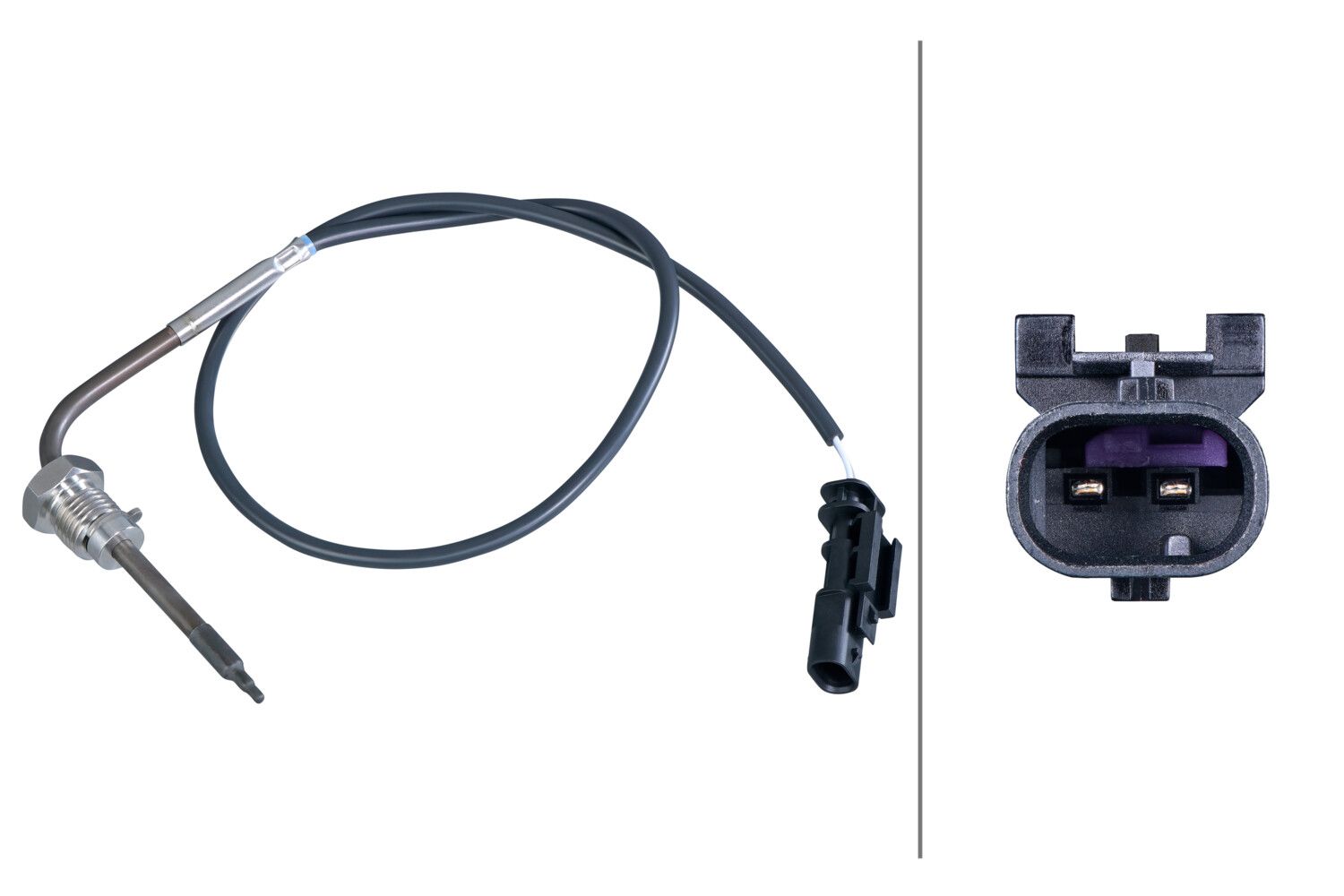 Sensor Abgastemperatur