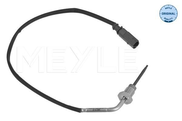 Sensor Abgastemperatur
