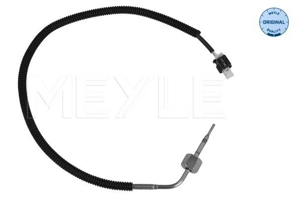 Sensor Abgastemperatur