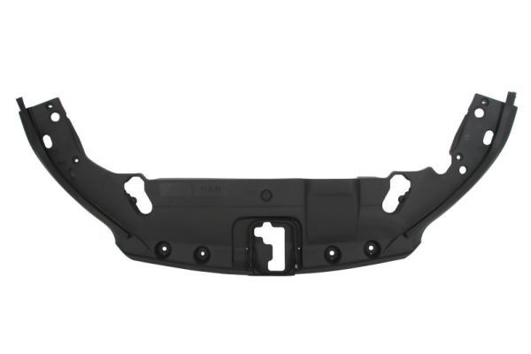 Frontmaske Frontgerüst Schloßträger