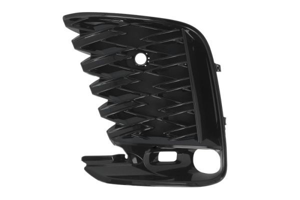 Stoßstange Gitter