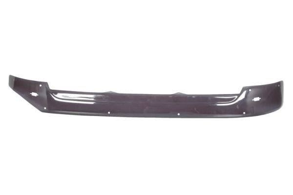 Sonnenblende