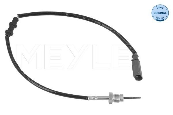Sensor Abgastemperatur