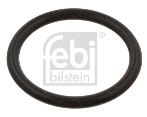 Dichtung Kraftstofffilter Filter