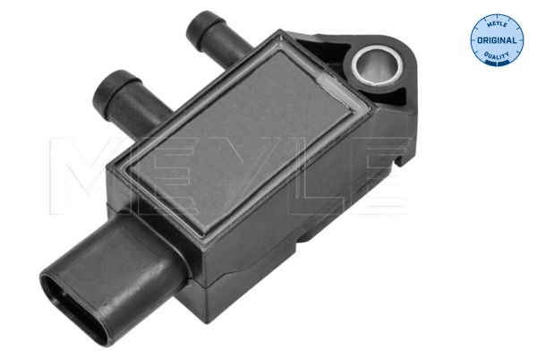 Abgasdrucksensor Differenzdruck