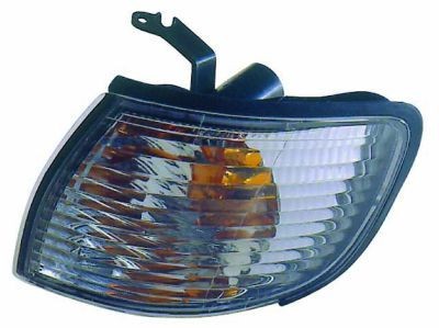 Blinker vorne
