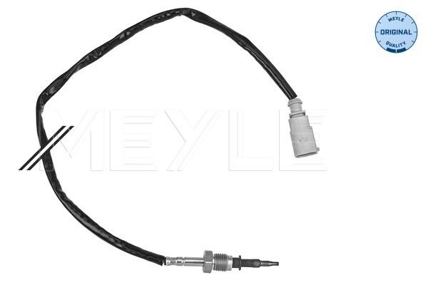 Sensor Abgastemperatur