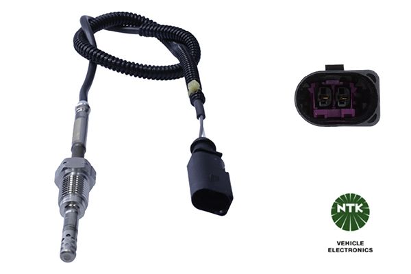 Sensor Abgastemperatur