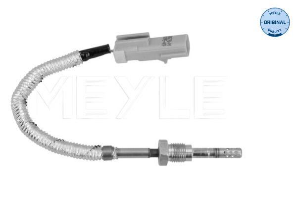 Sensor Abgastemperatur