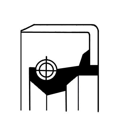 Wellen Dichtring Differential