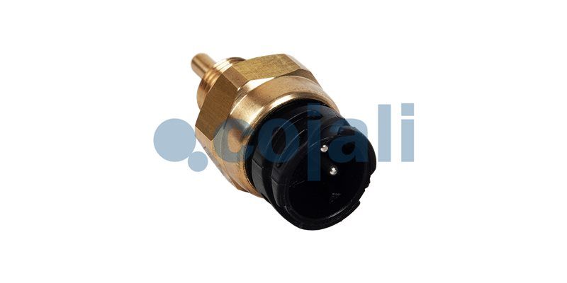 Kühlmitteltemperatursensor