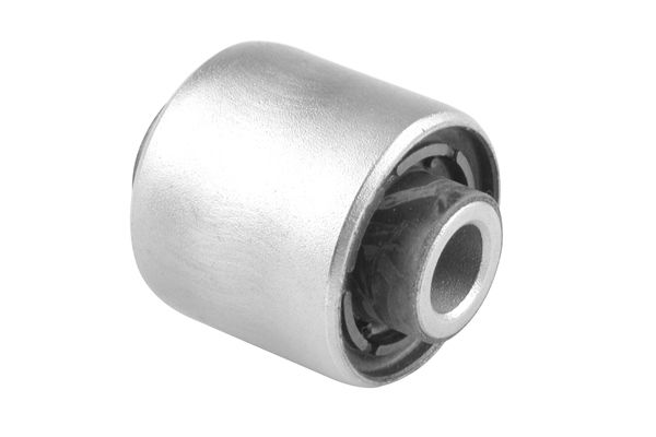Querlenker Silentblock hinten