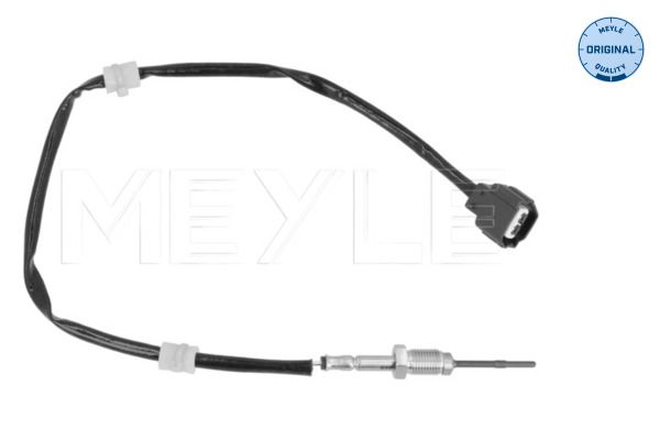 Sensor Abgastemperatur