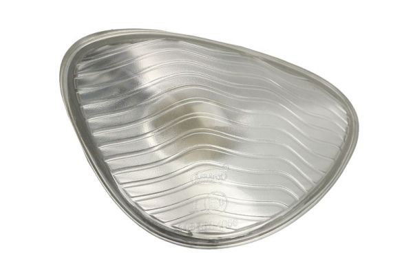Blinker Blinkleuchte