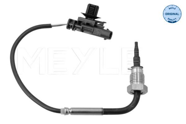 Sensor Abgastemperatur