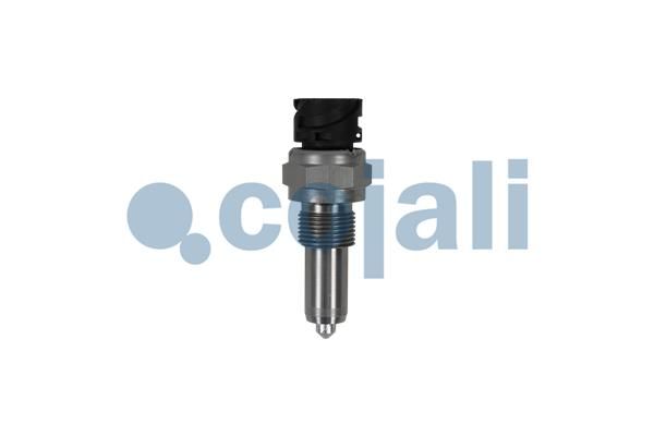 Sensor