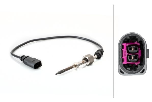 Sensor Abgastemperatur
