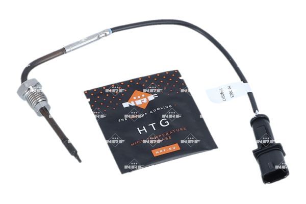 Sensor Abgastemperatur