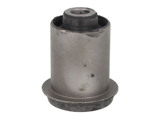 Querlenker Silentblock hinten