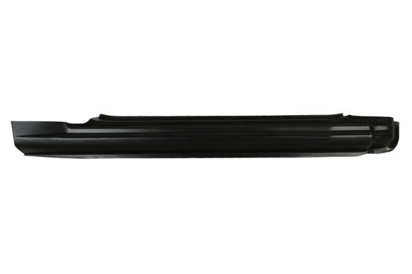 Einstiegsblech Schweller