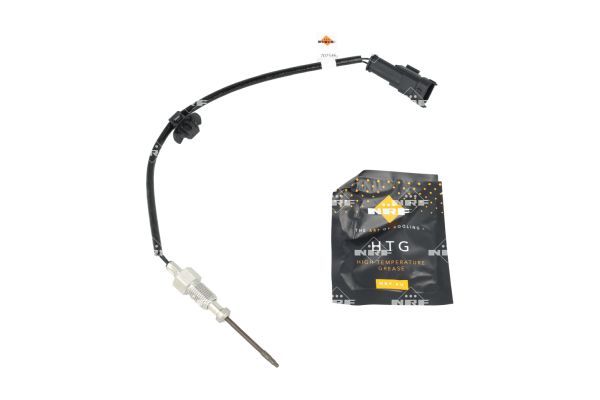 Sensor Abgastemperatur