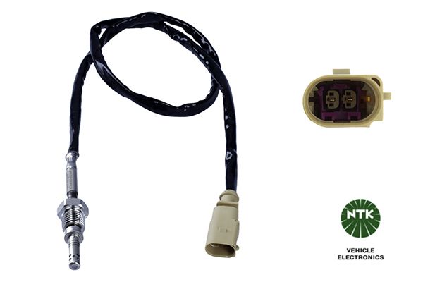 Sensor Abgastemperatur