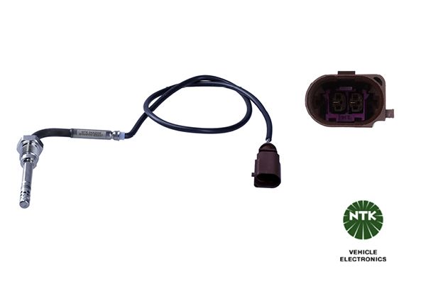 Sensor Abgastemperatur