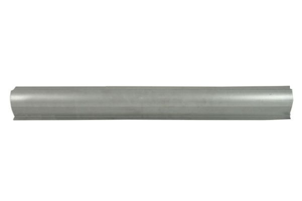 Einstiegsblech Schweller
